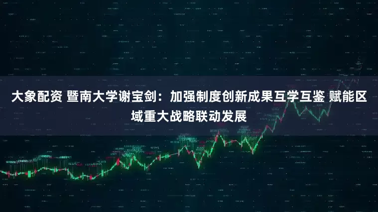 大象配资 暨南大学谢宝剑：加强制度创新成果互学互鉴 赋能区域重大战略联动发展